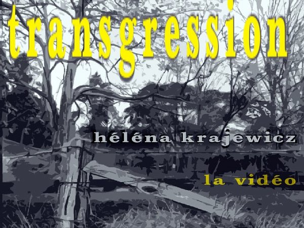 helena krajewicz, transgression, la vidéo